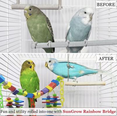 Show full view: SunGrow Large Hammock Swing for Parrot & Cockatiel, Bridge Blocks Bird Toy slide 5 of 8