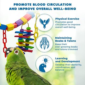 SunGrow Large Hammock Swing for Parrot & Cockatiel, Bridge Blocks Bird Toy
