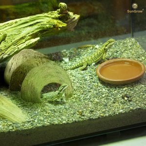 SunGrow Leopard Gecko & Ball Python Natural Hiding & Reptile Climbing Cave Basking & Tank Accessories, 3x5-in