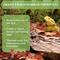 Show in main carousel: SunGrow Mini Catappa Frog & Gecko Leaf Litter, Bioactive Substrate for Reptile Vivarium, 50 count slide 2 of 6