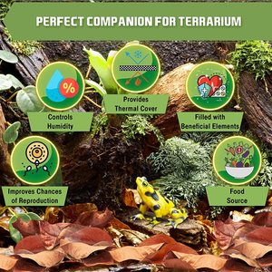 SunGrow Mini Catappa Frog & Gecko Leaf Litter, Bioactive Substrate for Reptile Vivarium, 50 count