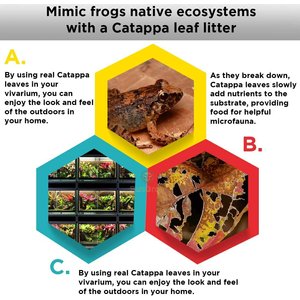 SunGrow Mini Catappa Frog & Gecko Leaf Litter, Bioactive Substrate for Reptile Vivarium, 50 count