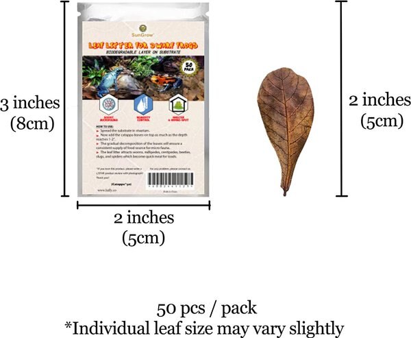 SunGrow Mini Catappa Frog & Gecko Leaf Litter, Bioactive Substrate for Reptile Vivarium, 50 count