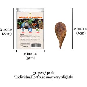 SunGrow Mini Catappa Frog & Gecko Leaf Litter, Bioactive Substrate for Reptile Vivarium, 50 count
