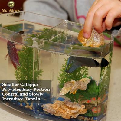 Show full view: SunGrow Mini Freshwater Indian Almond Leaves Aquarium Water Conditioner for Betta Fish & Shrimp, 50 count slide 5 of 6