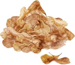 SunGrow Mini Indian Almond Leaves Pleco & Shrimp Food, Aquarium Water Conditioner that Lowers pH, 50 count slide 2 of 6