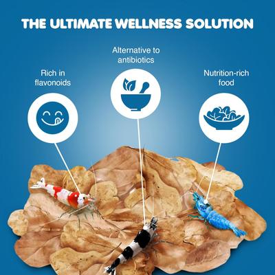 Show full view: SunGrow Mini Indian Almond Leaves Pleco & Shrimp Food, Aquarium Water Conditioner that Lowers pH, 50 count slide 3 of 6