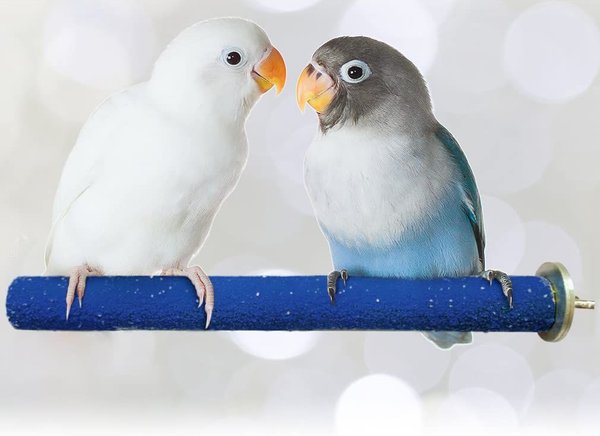 Show full view: SunGrow Nail & Beak Trimmer Sand Coated Wooden Bird Perch Stand, Blue, 8-in slide 1 of 10