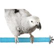 Show in main carousel: SunGrow Nail & Beak Trimmer Sand Coated Wooden Bird Perch Stand, Blue, 8-in slide 2 of 10