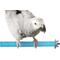 Show in main carousel: SunGrow Nail & Beak Trimmer Sand Coated Wooden Bird Perch Stand, Blue, 8-in slide 2 of 10