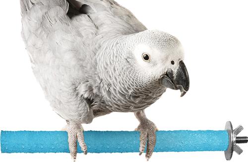 Show full view: SunGrow Nail & Beak Trimmer Sand Coated Wooden Bird Perch Stand, Blue, 8-in slide 2 of 10