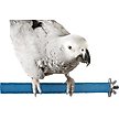 Show in main carousel: SunGrow Nail & Beak Trimmer Sand Coated Wooden Bird Perch Stand, Blue, 8-in slide 3 of 10