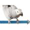 Show in main carousel: SunGrow Nail & Beak Trimmer Sand Coated Wooden Bird Perch Stand, Blue, 8-in slide 3 of 10