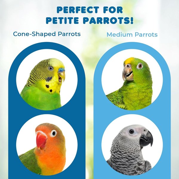 Show full view: SunGrow Nail & Beak Trimmer Sand Coated Wooden Bird Perch Stand, Blue, 8-in slide 4 of 10