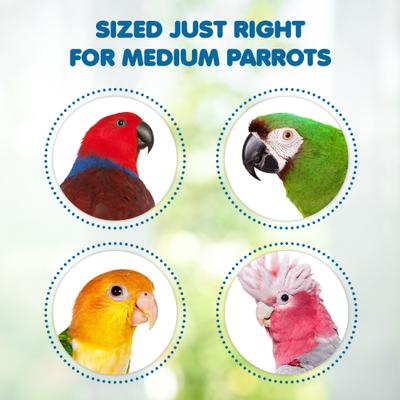 Show full view: SunGrow Nail & Beak Trimmer Sand Coated Wooden Bird Perch Stand, Blue, 8-in slide 5 of 10