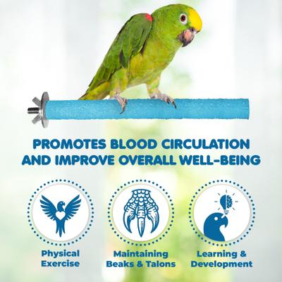 Show full view: SunGrow Nail & Beak Trimmer Sand Coated Wooden Bird Perch Stand, Blue, 8-in slide 6 of 10