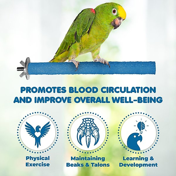 Show full view: SunGrow Nail & Beak Trimmer Sand Coated Wooden Bird Perch Stand, Blue, 8-in slide 8 of 10