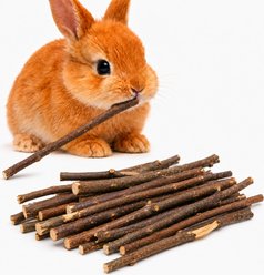 SunGrow Natural Apple Snack Sticks for Rabbits & Guinea Pigs Dental Chew Treats, 3.52-oz bag, 20 count