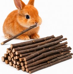 SunGrow Natural Apple Snack Sticks for Rabbits & Guinea Pigs Dental Chew Treats, 7-oz bag, 40 count