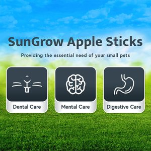 SunGrow Natural Apple Snack Sticks Small-Pet Dental Chew Treats, 40 count