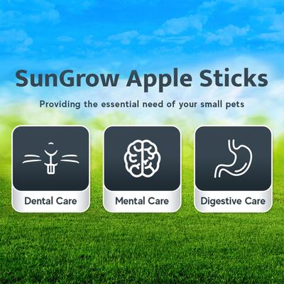 Show full view: SunGrow Natural Apple Snack Sticks Small-Pet Dental Chew Treats, 7-oz bag, 40 count slide 4 of 8