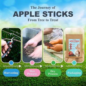 SunGrow Natural Apple Snack Sticks Small-Pet Dental Chew Treats, 40 count