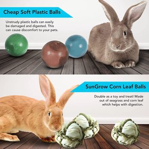 SunGrow Natural Corn Leaf Treat Ball Rabbit Interactive Chew Toys for Teeth & Boredom, 2.75-in, 6 count