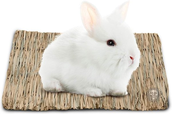 Show full view: SunGrow Natural Grass Chew Mat & Hay Bedding Cage Rabbit, Guinea Pig, & Small Pet Accessories, 1 count slide 1 of 9
