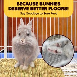 SunGrow Natural Grass Chew Mat & Hay Bedding Cage Rabbit, Guinea Pig, & Small Pet Accessories, 1 count slide 2 of 8
