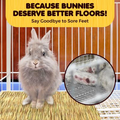 Show full view: SunGrow Natural Grass Chew Mat & Hay Bedding Cage Rabbit, Guinea Pig, & Small Pet Accessories, 1 count slide 4 of 9