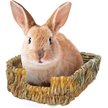 Show in main carousel: SunGrow Natural Portable Grass Rabbit Bed slide 1 of 7