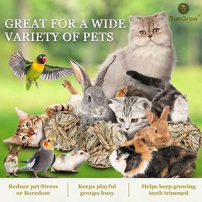 Show full view: SunGrow Natural Teeth Grinding Small Pet Chew Treat Ball, 3 count slide 3 of 7