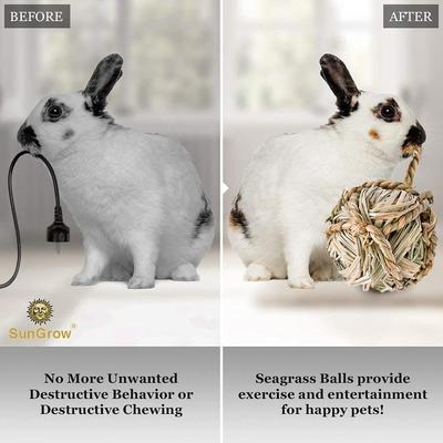 Show full view: SunGrow Natural Teeth Grinding Small Pet Chew Treat Ball, 3 count slide 4 of 7