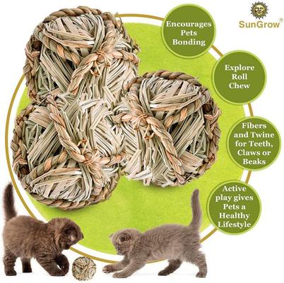 Show full view: SunGrow Natural Teeth Grinding Small Pet Chew Treat Ball, 3 count slide 5 of 7