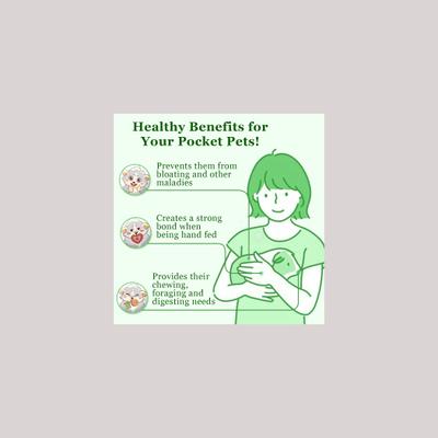 Show full view: SunGrow Natural Timothy Hay Sticks Rabbit & Guinea Pig Treats, 4.7-in, 20 count slide 3 of 5