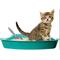 Show in main carousel: SunGrow Durable Metal Cat Litter Scoop for Litter Box Cleaning, Gray slide 4 of 9
