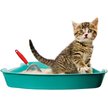 Show in main carousel: SunGrow Durable Metal Cat Litter Scoop for Litter Box Cleaning, Red slide 3 of 8