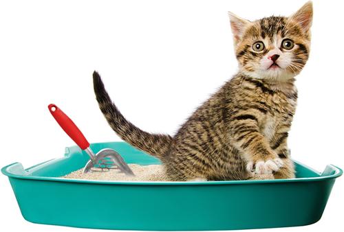 Show full view: SunGrow Durable Metal Cat Litter Scoop for Litter Box Cleaning, Red slide 3 of 8