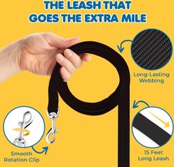 SunGrow 360 Degree Swivel Hook Nylon Training Dog Leash, Black, 6-ft long, 1.75-in wide slide 2 of 5