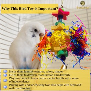 SunGrow Paper Shred with Chew Blocks Parakeet & Cockatiel Foraging & Cage Hanging Accessory
