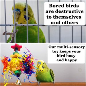 SunGrow Paper Shred with Chew Blocks Parakeet & Cockatiel Foraging & Cage Hanging Accessory