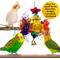Show in main carousel: SunGrow Paper Shred with Chew Blocks Parakeet & Cockatiel Foraging & Cage Hanging Accessory slide 5 of 7