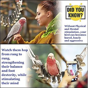 SunGrow Parakeet & Bearded Dragon Ladder Rope Bridge Bird & Reptile Toy