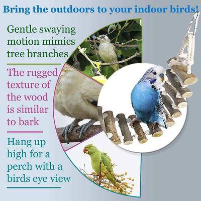 Show full view: SunGrow Parakeet & Bearded Dragon Ladder Rope Bridge Bird & Reptile Toy slide 4 of 6