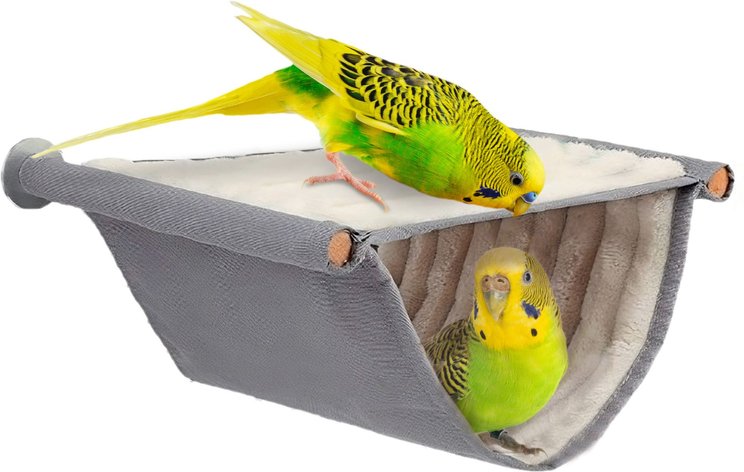 Bird Perches With Live Foliage For Bird Behavior photo