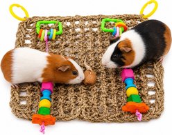 SunGrow Parrot Climbing & Cage Hammock Swing Foraging Net & Activity Play Bird & Small-Pet Chew Mat slide 2 of 6