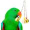 Show in main carousel: SunGrow Parrot Hanging Ring Bell Bird Toys Cage Accesories, 3 count, 7.9-inch slide 1 of 7