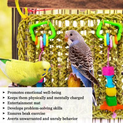 Show full view: SunGrow Parrot Climbing & Cage Hammock Swing Foraging Net & Activity Play Bird & Small-Pet Chew Mat slide 3 of 7