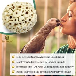 SunGrow Parrot Sola Atta Shred Foraging & Foot Chew Ball, Sunflower Seed Holder, Teeth Grinding for Hamster, 3 count slide 2 of 6