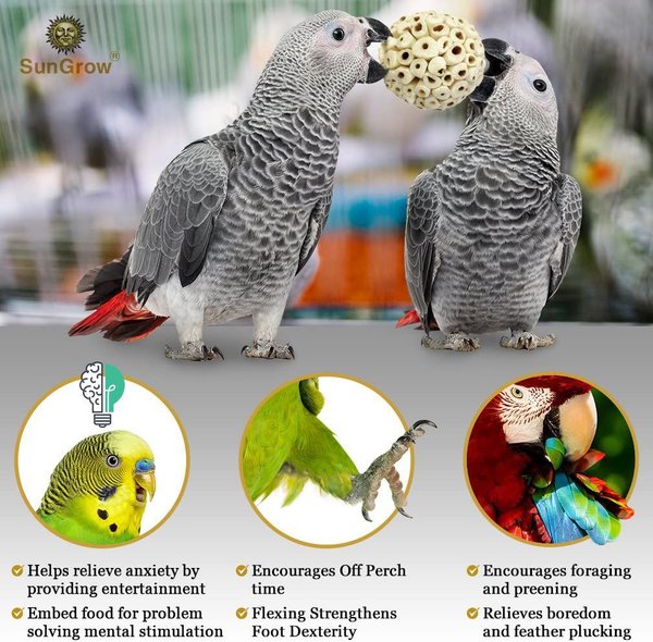 SunGrow Parrot Sola Atta Shred Foraging & Foot Chew Ball, Sunflower Seed Holder, Teeth Grinding for Hamster